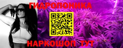 шишки Старая Купавна