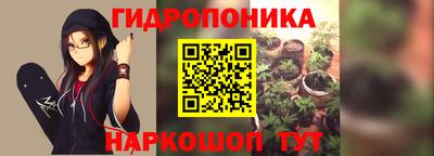 эйфоретик Тара