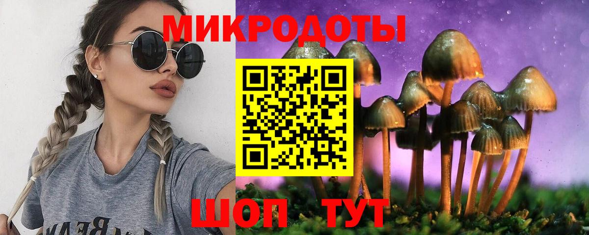 Псилоцибиновые грибы мицелий Мурманск